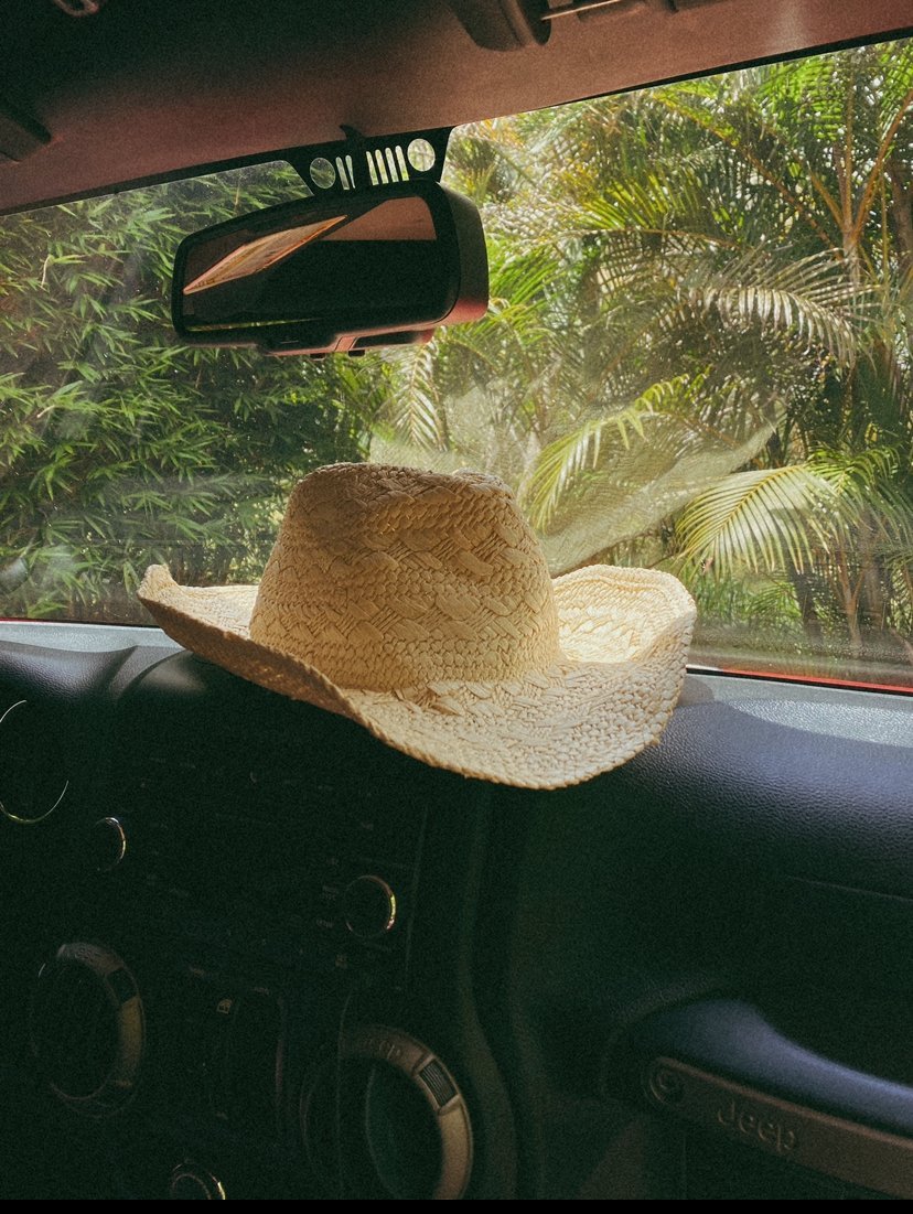Ein Strohhut ruht auf dem Armaturenbrett eines Jeeps und symbolisiert finanzielle Freiheit inmitten üppiger Vegetation.