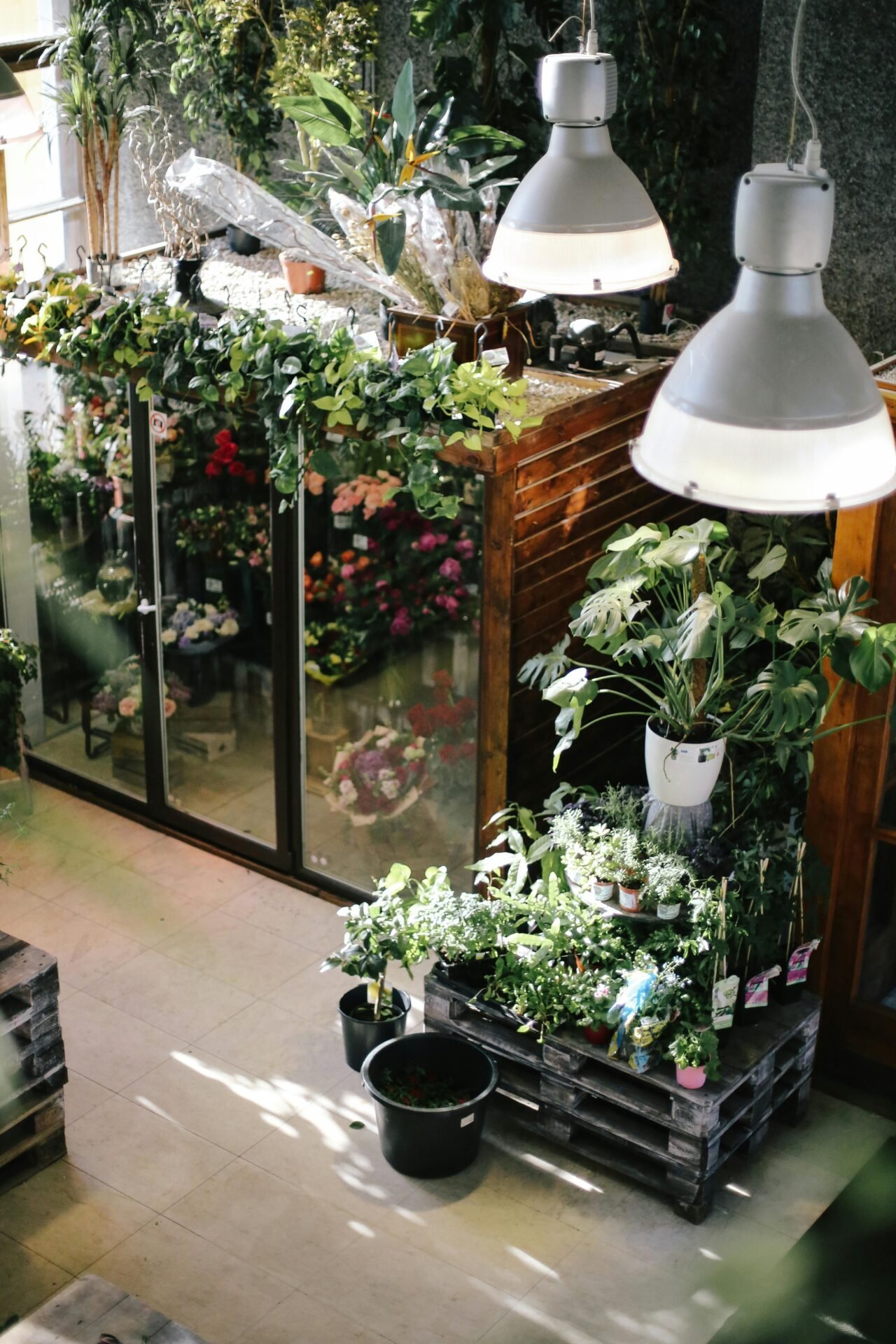 Indoor-Gartenshop und Online-Handel mit Topfpflanzen, Hängelampen und Glastüren.