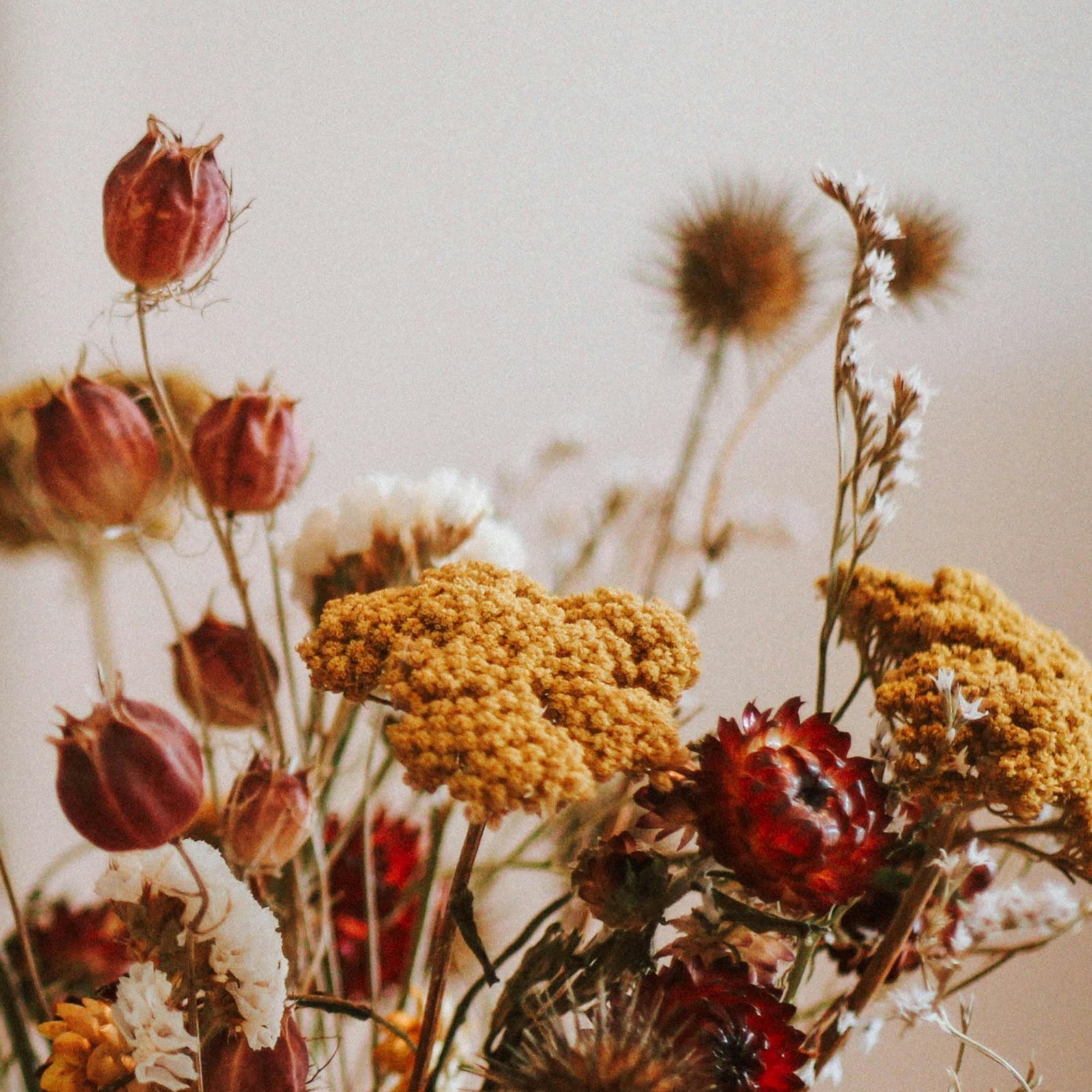 Die Köpfe roter und gelber Blumen im Boho-Stil stehen für Beständigkeit und stetes Wachstum.