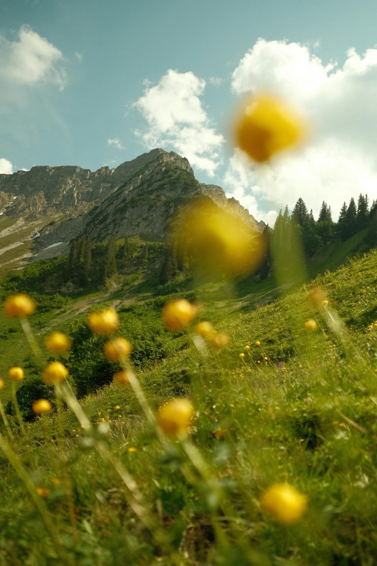 Eine wunderschöne Berglandschaft in der Sonne.