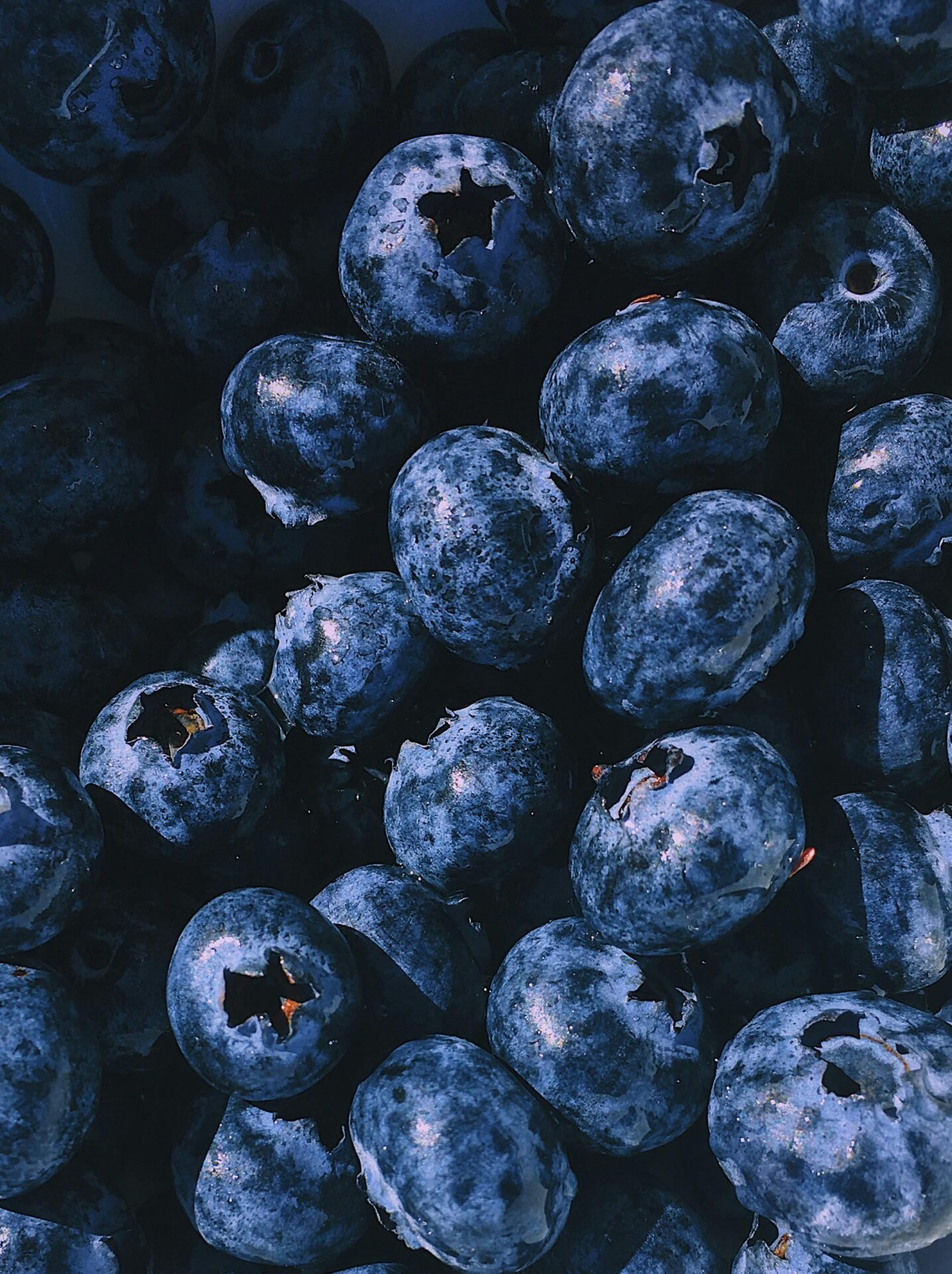 Nahaufnahme von frischen, reifen Blaubeeren – perfekt für alle, die gesund leben möchten.