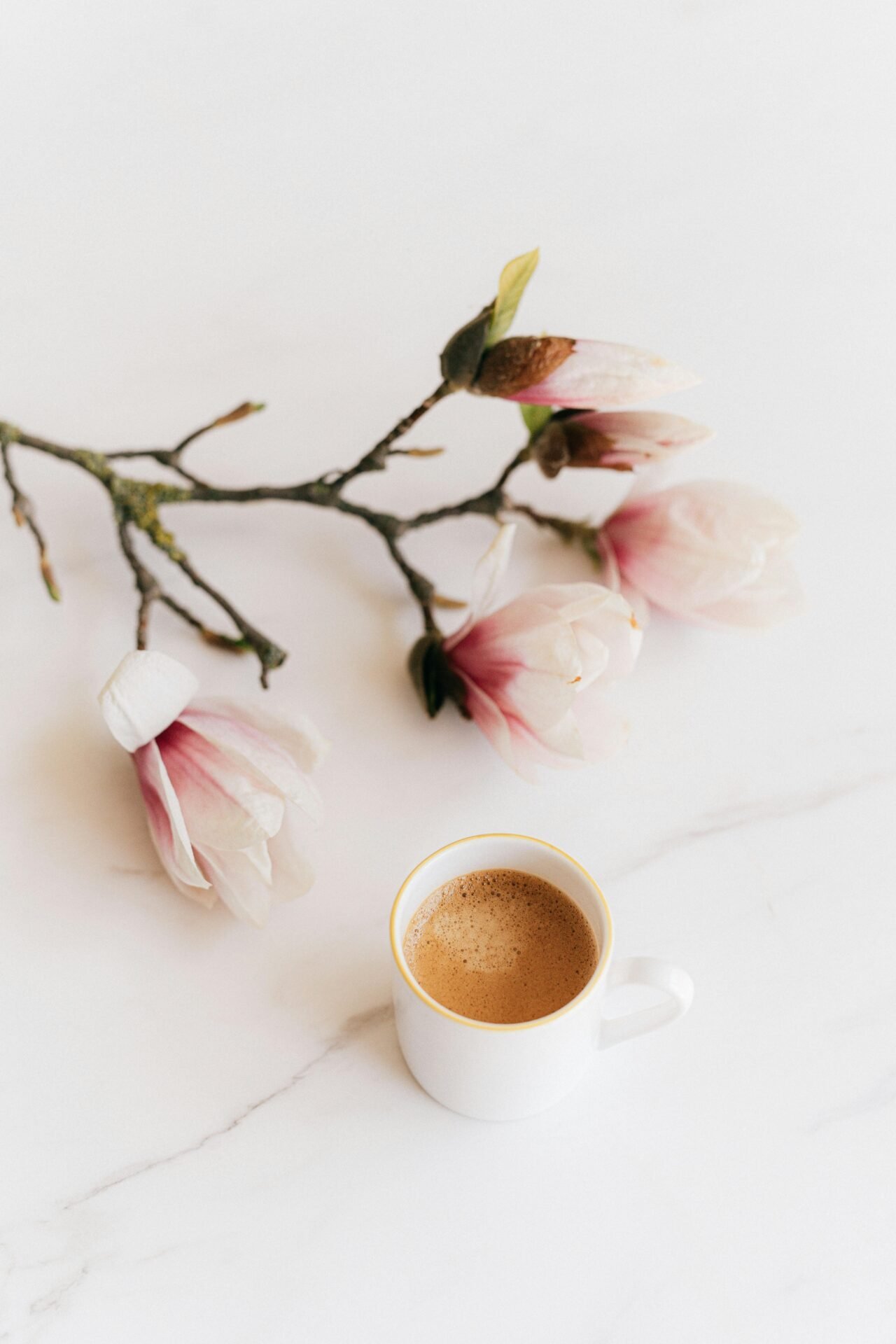 Eine Kaffeetasse auf einem Marmortisch mit einem Zweig rosa Magnolien.
