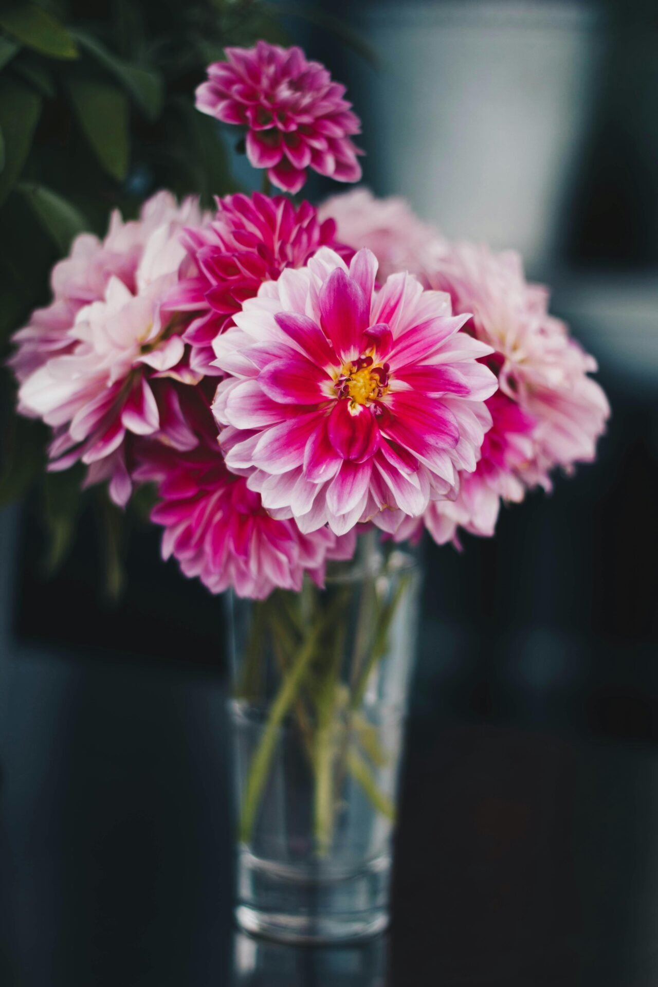 Pinke Blumen in einer Vase, die Gefühle symbolisieren, die auch in Lebenszielen involviert sein können.