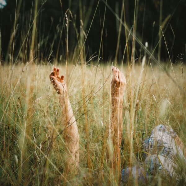 Eine Person liegt auf einem Feld mit hohem Gras. Nur ihre erhobenen Arme sind sichtbar. Die Arme strecken sich zum Himmel, umgeben von dichtem grünem Laub und Gras.