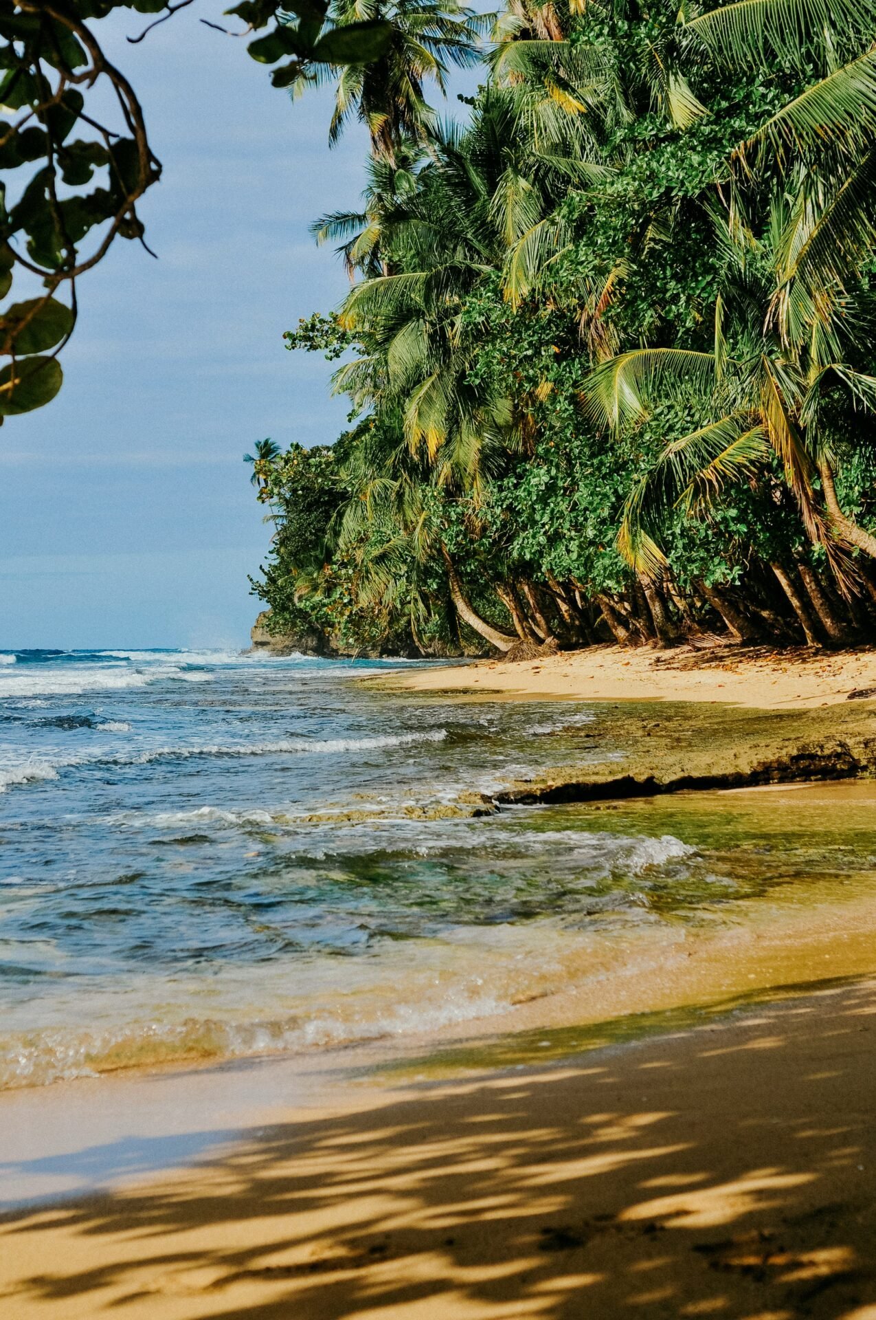Tropischer Strand mit Palmen und klarem blauen Wasser – eine Reise ins Glück erwartet Sie.